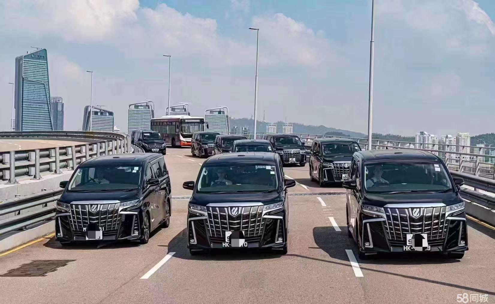 粤港澳商務車車隊展示